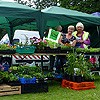 Plant stall