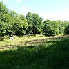 Looking down across the field